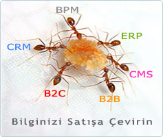 1.resim